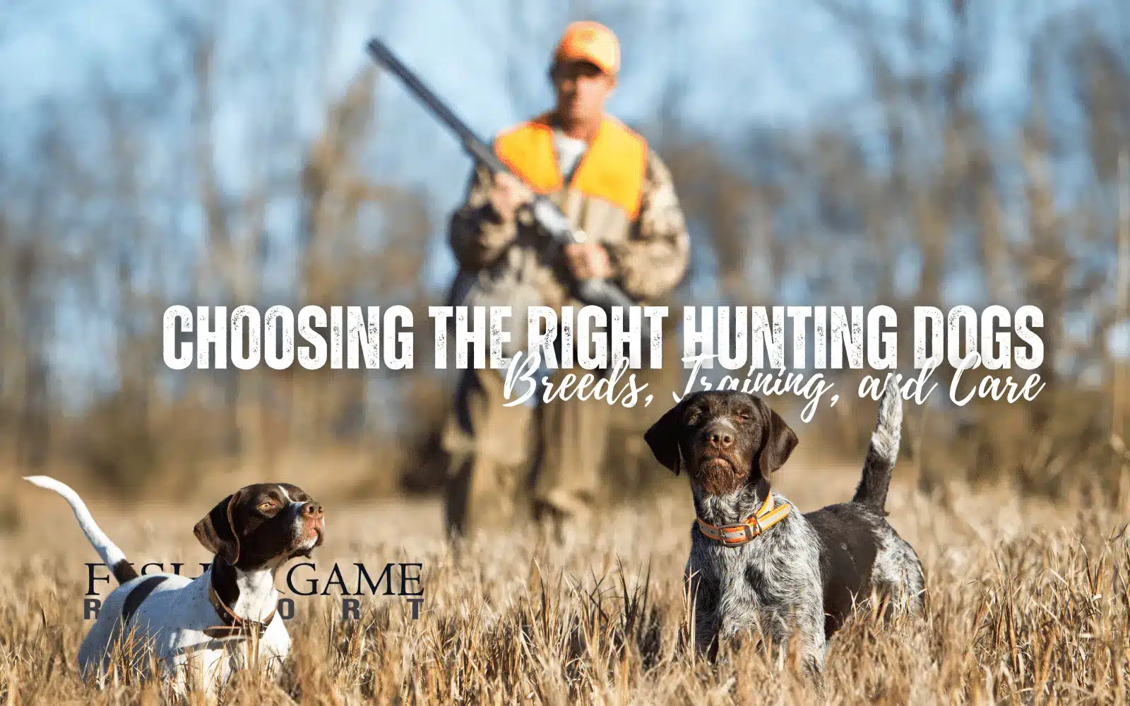 Choosing the Right Hunting Dogs: Breeds, Training, and Care