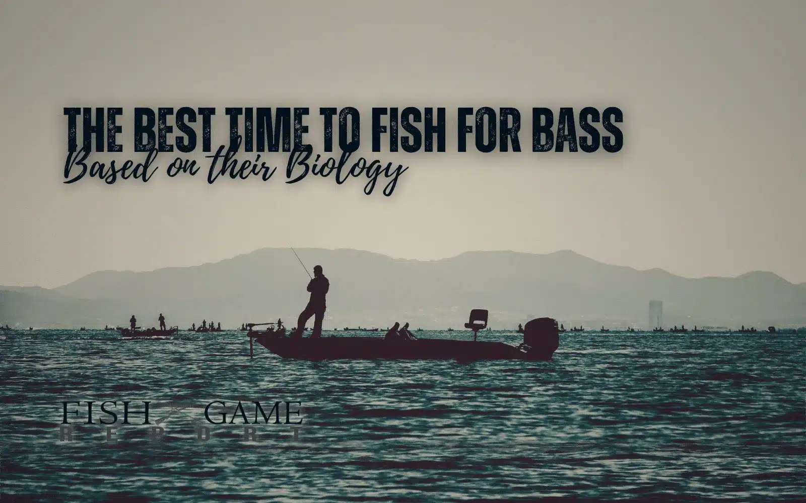 The Best Time to Fish for Bass Based on their Biology