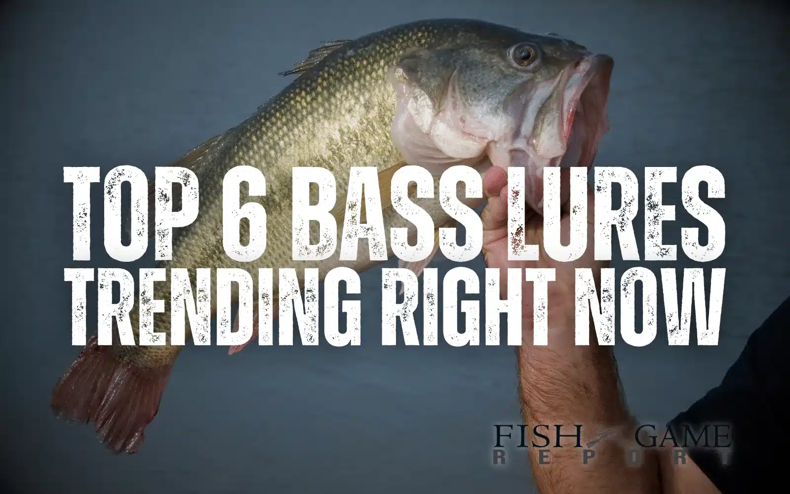 The Top 6 Bass Lures Trending Right Now