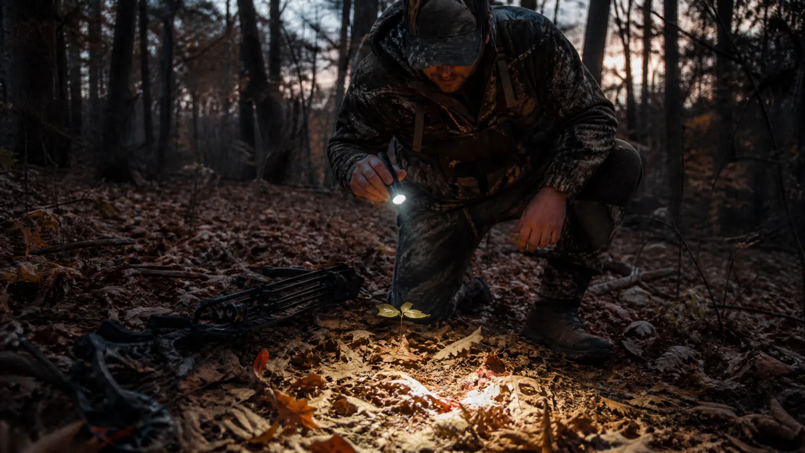 How to Blood Trail a Wounded Deer