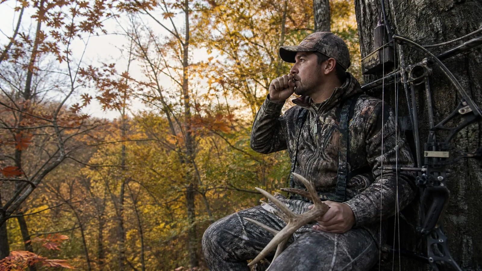 How to Call Deer: Grunts, Bleats & Rattling
