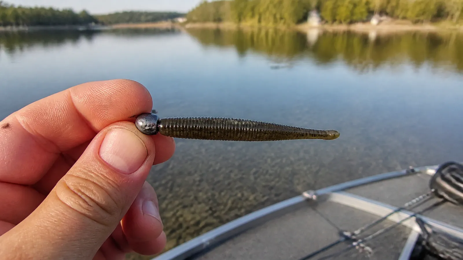 How to Fish a Ned Rig: Setup, Baits & Tactics
