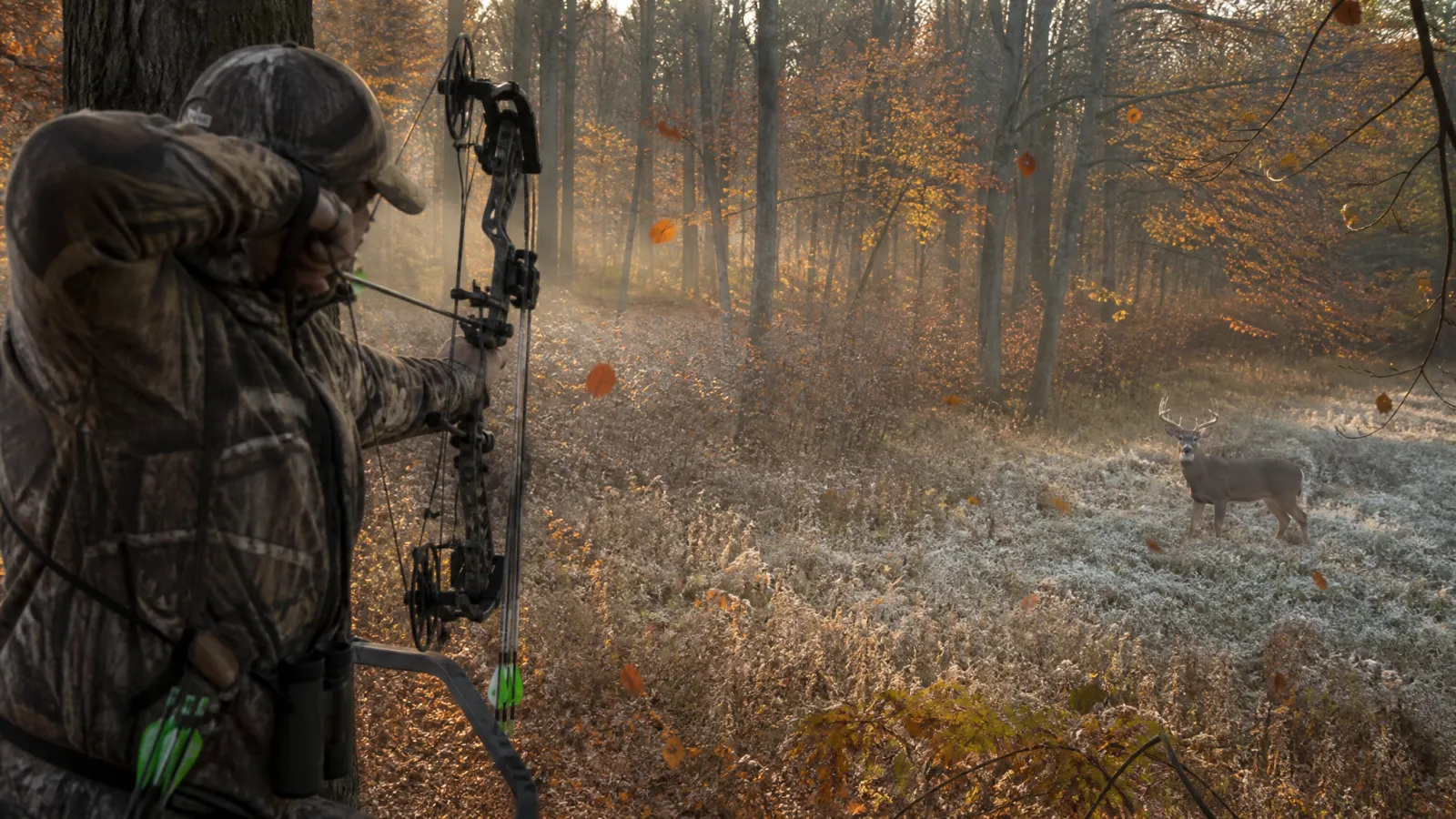 Michigan Archery Deer 2026-27: Oct. 1 Opener