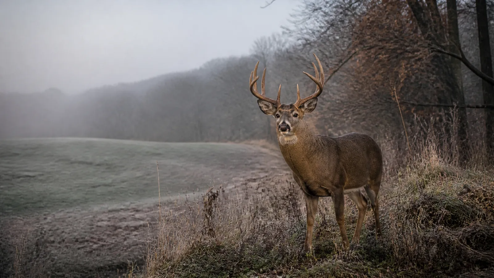 Wisconsin Gun Deer Season 2026: Nov. 21 Opener